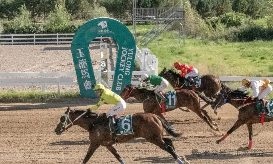 甘敏斯大乐,透期号专家,推荐质合分,香港赛马会主页,赛程安排,赛果查询,马匹资料,比赛分析
