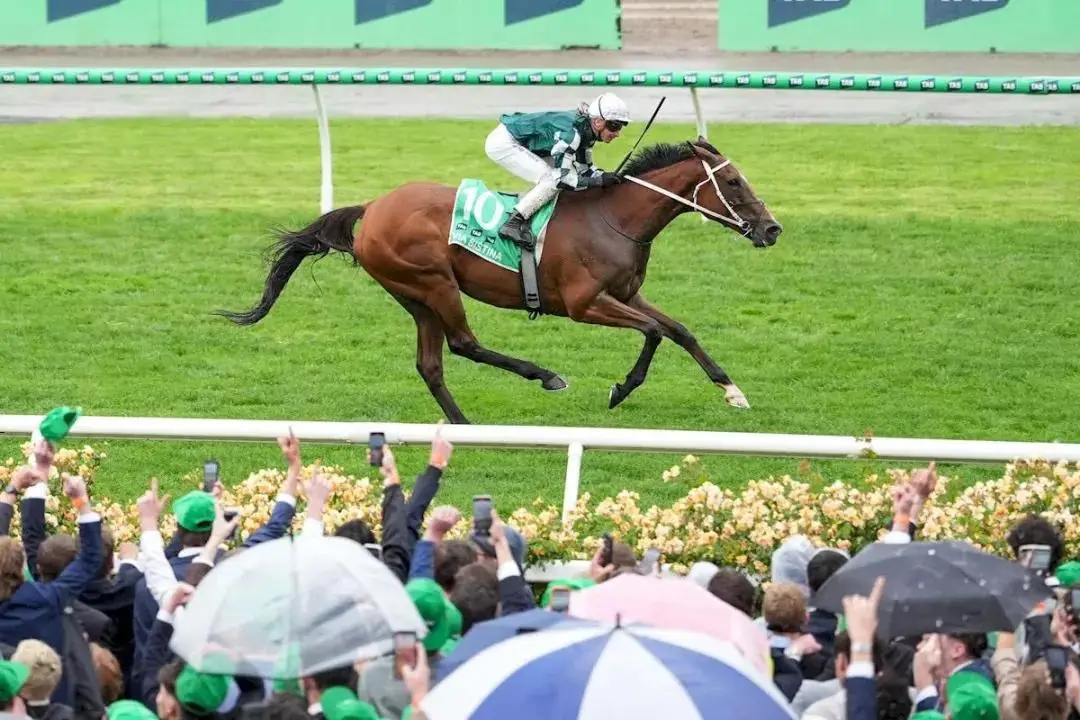 因肺炎和白,血病影响,练马师容天,香港赛马会主页,赛程安排,赛果查询,马匹资料,比赛分析