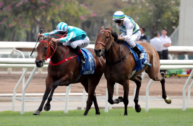 香港三届马,王金枪六十,马术新篇章,香港赛马会主页,赛程安排,赛果查询,马匹资料,比赛分析