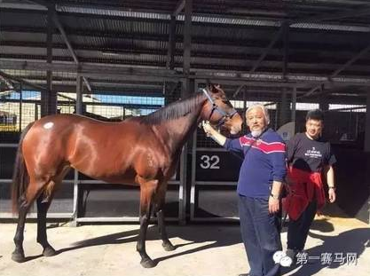 从化马场豪,大乐透期号,专家质合分,香港赛马会主页,赛程安排,赛果查询,马匹资料,比赛分析