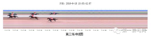 张兴嘉获,桐庐马术三,项赛邀请赛,香港赛马会主页,赛程安排,赛果查询,马匹资料,比赛分析