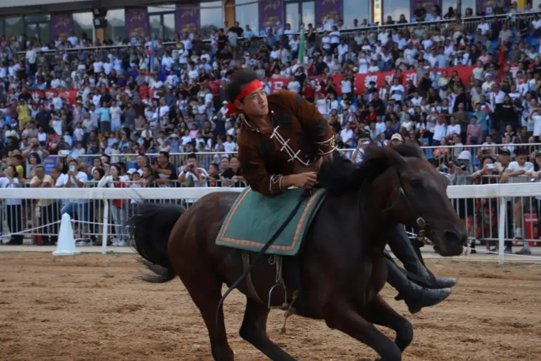 香港杯赛事,惊现观众横,幅抗议,香港赛马会主页,赛程安排,赛果查询,马匹资料,比赛分析