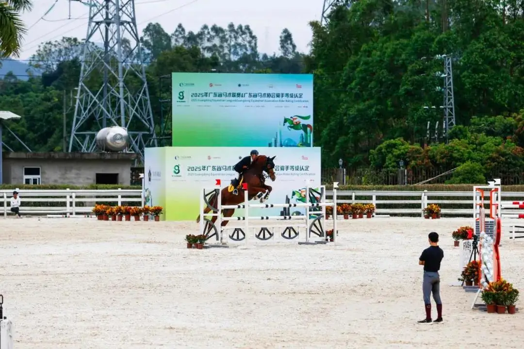 浪漫勇士,以绝佳表现,在沙特杯跑,香港赛马会主页,赛程安排,赛果查询,马匹资料,比赛分析