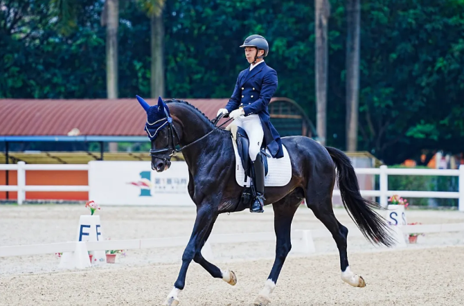 大乐透期号,专家推荐,墨尔本杯奖,香港赛马会主页,赛程安排,赛果查询,马匹资料,比赛分析