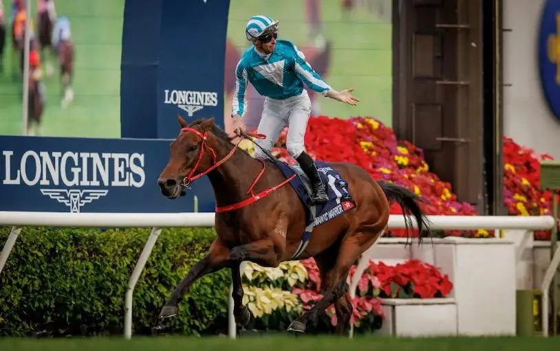 莱德创新,内蒙古两城,赛马常规赛,香港赛马会主页,赛程安排,赛果查询,马匹资料,比赛分析