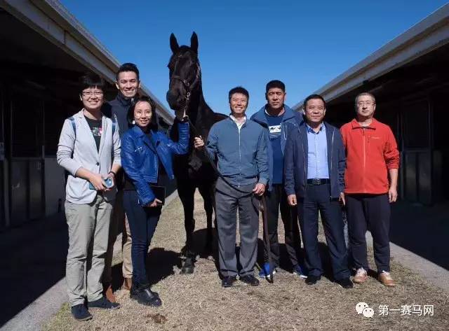 香港马王浪,漫勇士沙特,泥地赛首战,香港赛马会主页,赛程安排,赛果查询,马匹资料,比赛分析