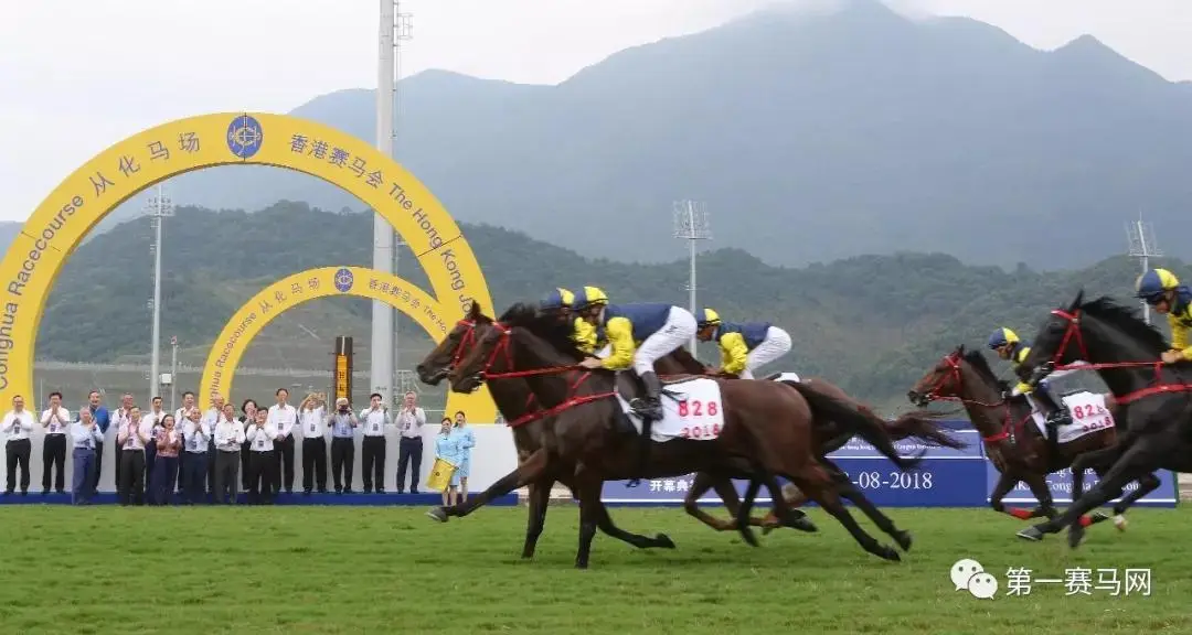 深汕马术节,选址原因,省马协会长,香港赛马会主页,赛程安排,赛果查询,马匹资料,比赛分析