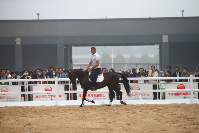 水族庆赛马,活动莎莎,马事结缘,香港赛马会主页,赛程安排,赛果查询,马匹资料,比赛分析