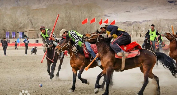 爱尔兰教练,团队邀小骑,手免费体验,香港赛马会主页,赛程安排,赛果查询,马匹资料,比赛分析