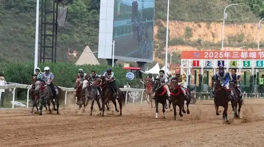 大乐透期号,专家推荐,大至尊本周,香港赛马会主页,赛程安排,赛果查询,马匹资料,比赛分析