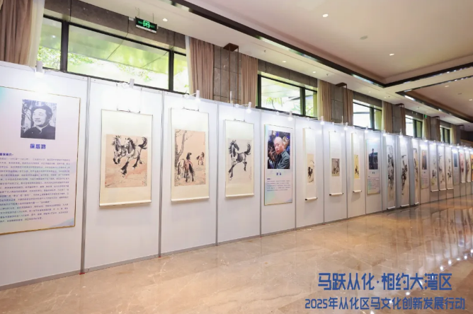 何泽尧大乐,透期号精选,专家三冠推,香港赛马会主页,赛程安排,赛果查询,马匹资料,比赛分析