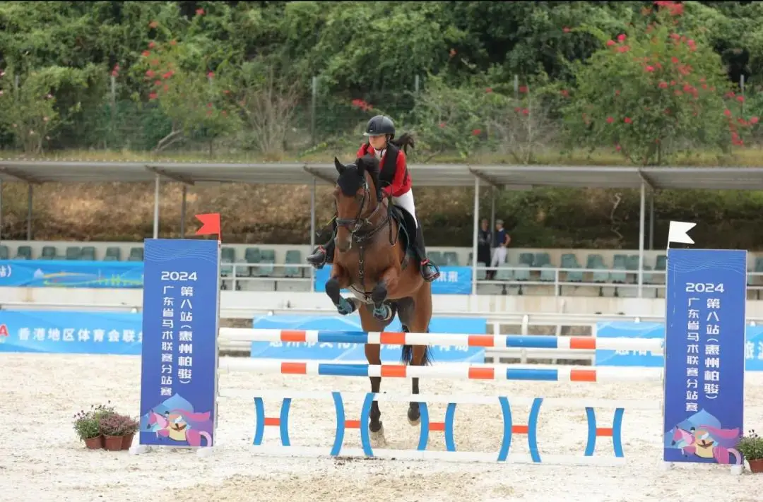 大乐透期号,专家推荐,嘉应高升,香港赛马会主页,赛程安排,赛果查询,马匹资料,比赛分析