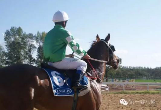 华天解读大,乐透期号,专家推荐质,香港赛马会主页,赛程安排,赛果查询,马匹资料,比赛分析