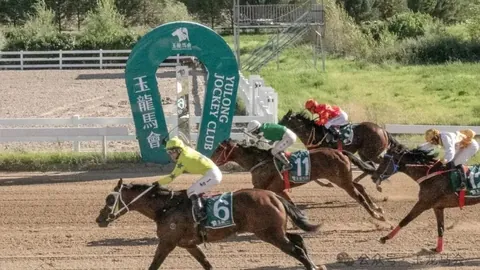 甘敏斯大乐透期号专家推荐质合分析前区十码