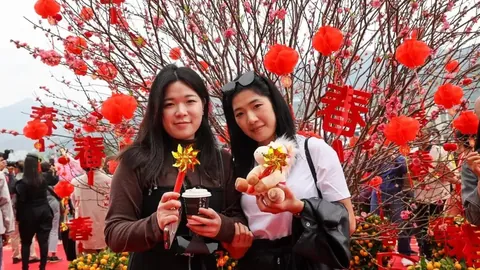 香港三届马王金枪六十马术新篇章，再战马坛