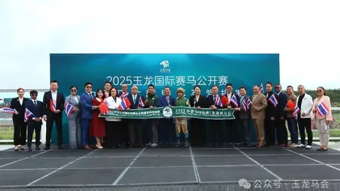 大乐透期号专家精准推荐，四岁马赛事三连胜豪取佳驷再冲击