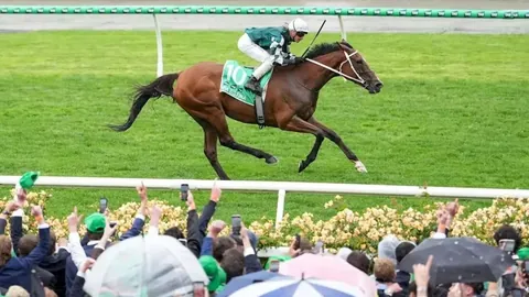 因肺炎和白血病影响，练马师容天鹏正式退休！