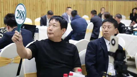 第九届中国马术节宣传视频：专家推荐质合分析与前区十码