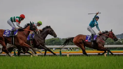 大乐透期号专家推荐：嘉应高升质合分析再夺亿元奖金