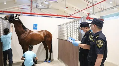 十英镑丘吉尔后裔珍品亮相2025玉龙春拍