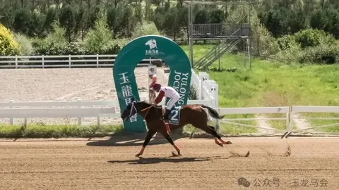 港马自强不息夺冠韩赛，获美育马者杯资格