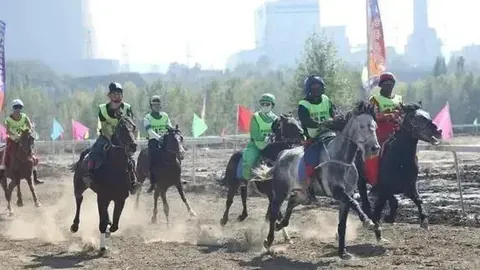 大乐透期号专家推荐：质合分析精选前区十码