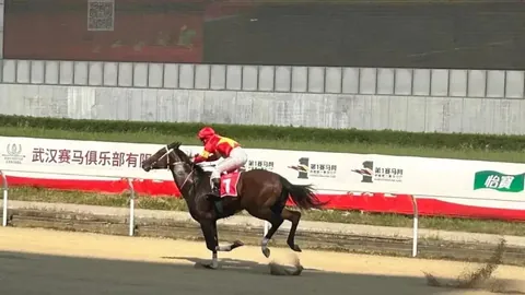 何泽尧大乐透期号专家德国转战推荐